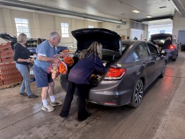 article image - fund2